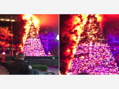 NEW YORK CITY: Fox News Christmas tree to be rebuilt, relit after fire in Midtown; suspect released