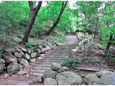 URBAN EXPLORER: Five Hidden Places To Explore In Brooklyn - By Brian Harrod