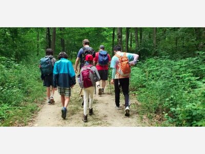 THE GOLDEN APPLE >>> WESTCHESTER COUNTY >>> Not 'My Grandfather's Boy Scout Troop': It's Now for Girls, Too In Scarsdale