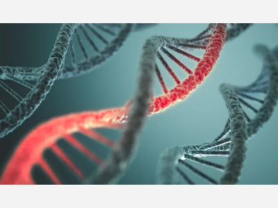 SCIENCE: Bronx DA Says DNA Evidence Links New York City Man To 1996 Murder Of Pregnant Woman